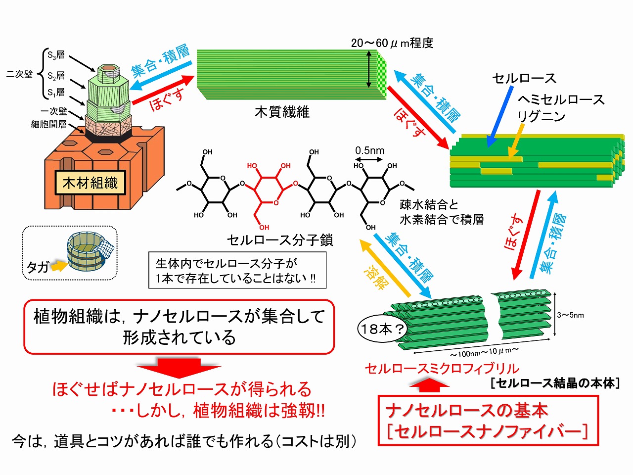 ナノセルロース製造方法概要